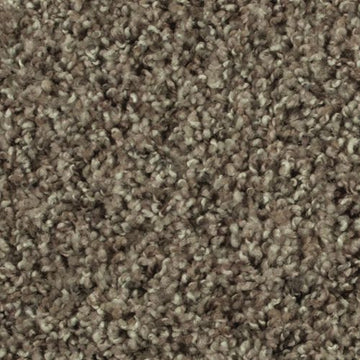 Classic Taupe