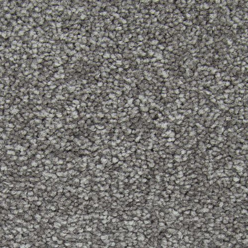 Alden Charcoal