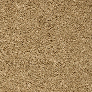 Stonington Beige