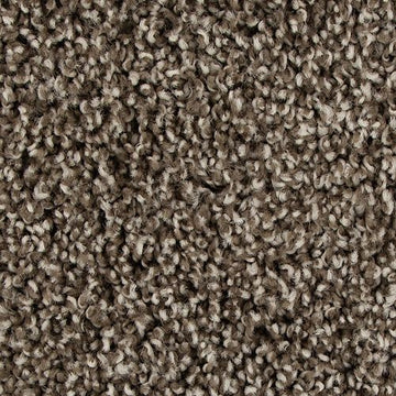 Taupe Whisper