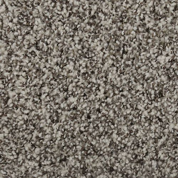 Winter Ash