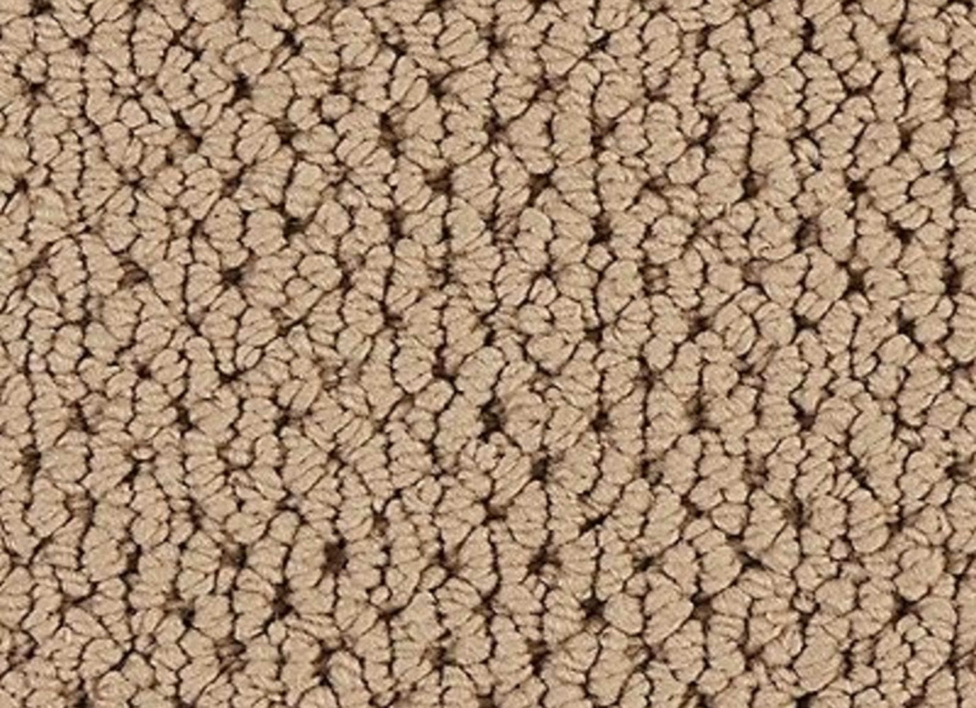 Kinetic Detail in Camel Carpet