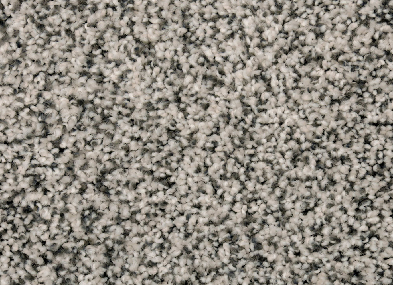 Magnetic Beauty in Barely There Carpet