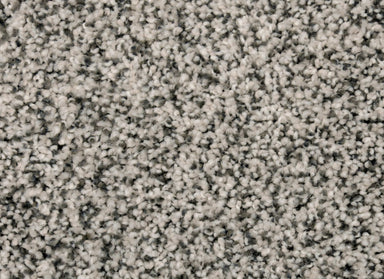 Magnetic Beauty in Barely There Carpet