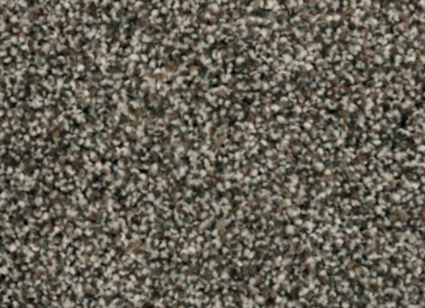 Charismatic Appeal in Tudor Carpet