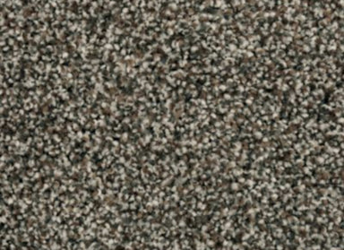 Charismatic Appeal in Tudor Carpet