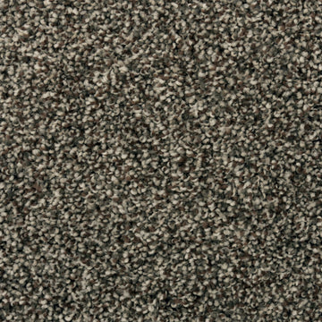 Universal Umber