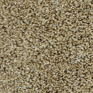 Warm Sand