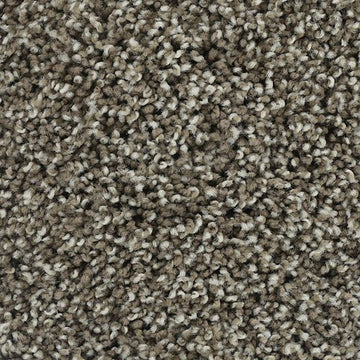 Taupe Shadow