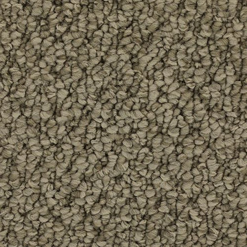 Taupe Whisper
