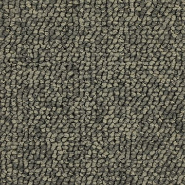 Ice Grey
