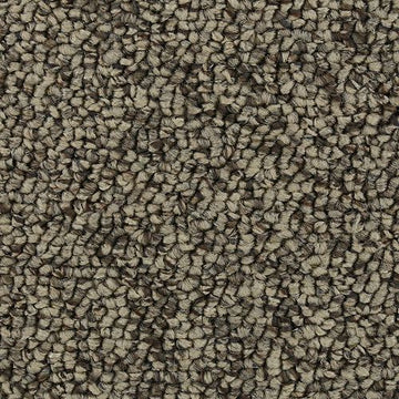 Quiet Beige