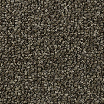 Perfect Taupe