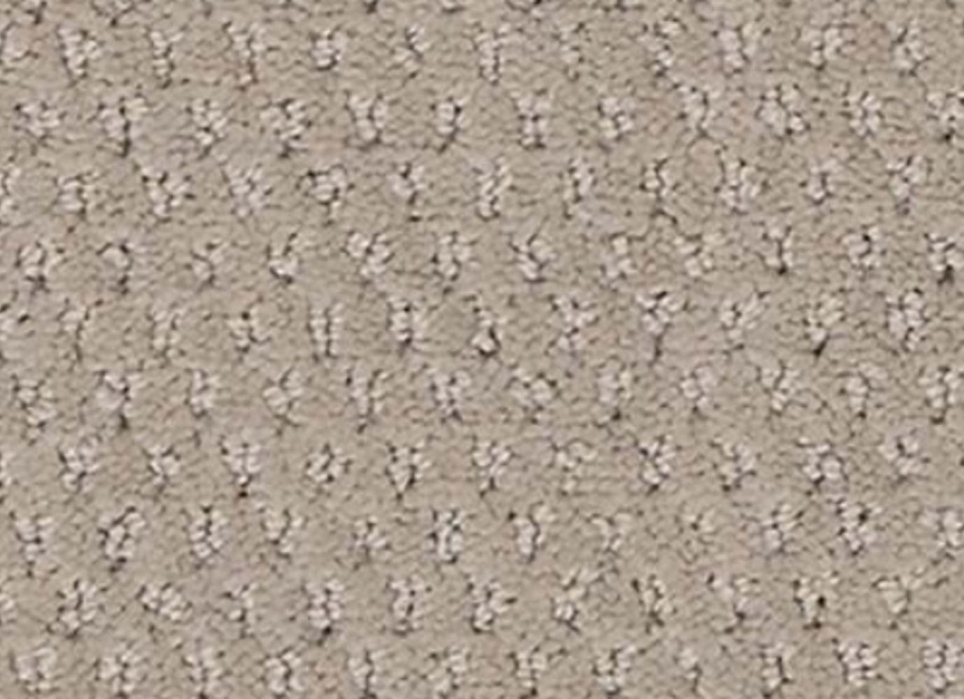 Dynamic Fusion in Spirited Carpet