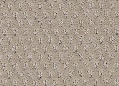 Dynamic Fusion in Spirited Carpet
