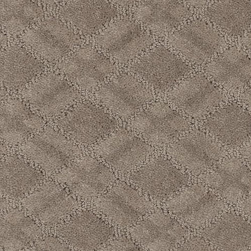 Seashells