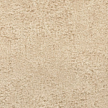 Ivory Cream