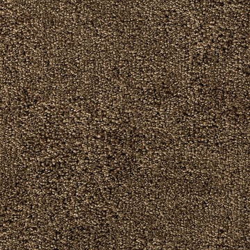 Brushwood