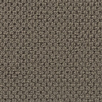 Meteorite
