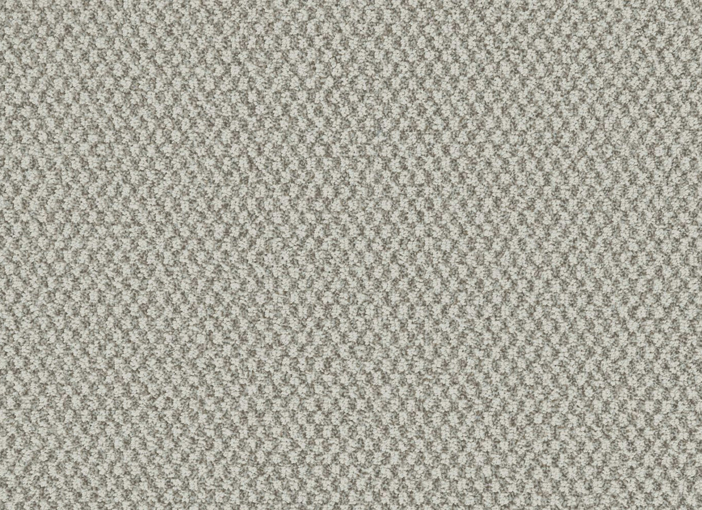 Pleasant Shift in Silhouette Carpet