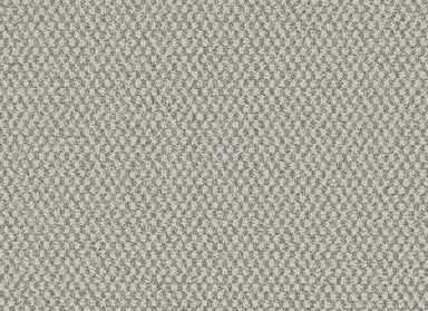 Pleasant Shift in Silhouette Carpet