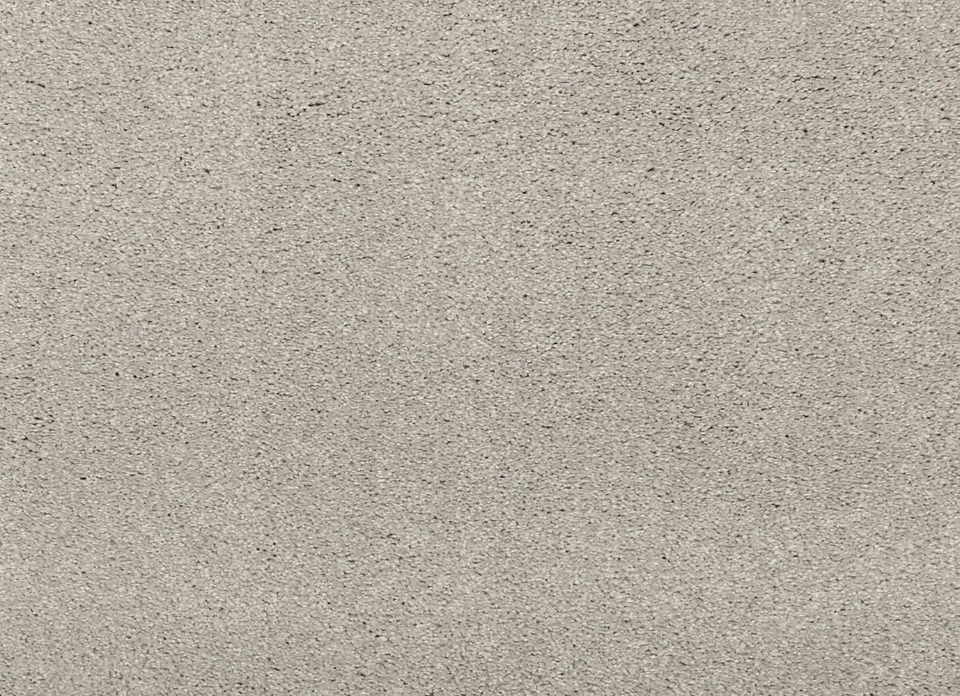 Noble Surface in Seagull Carpet
