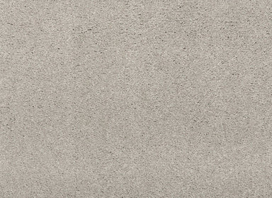 Noble Surface in Seagull Carpet