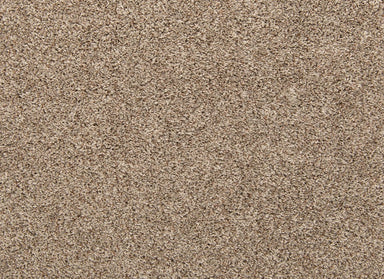 Classic Hues II in Boulevard Carpet