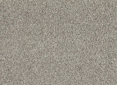 Soft Description II in Frozen Tundra Carpet
