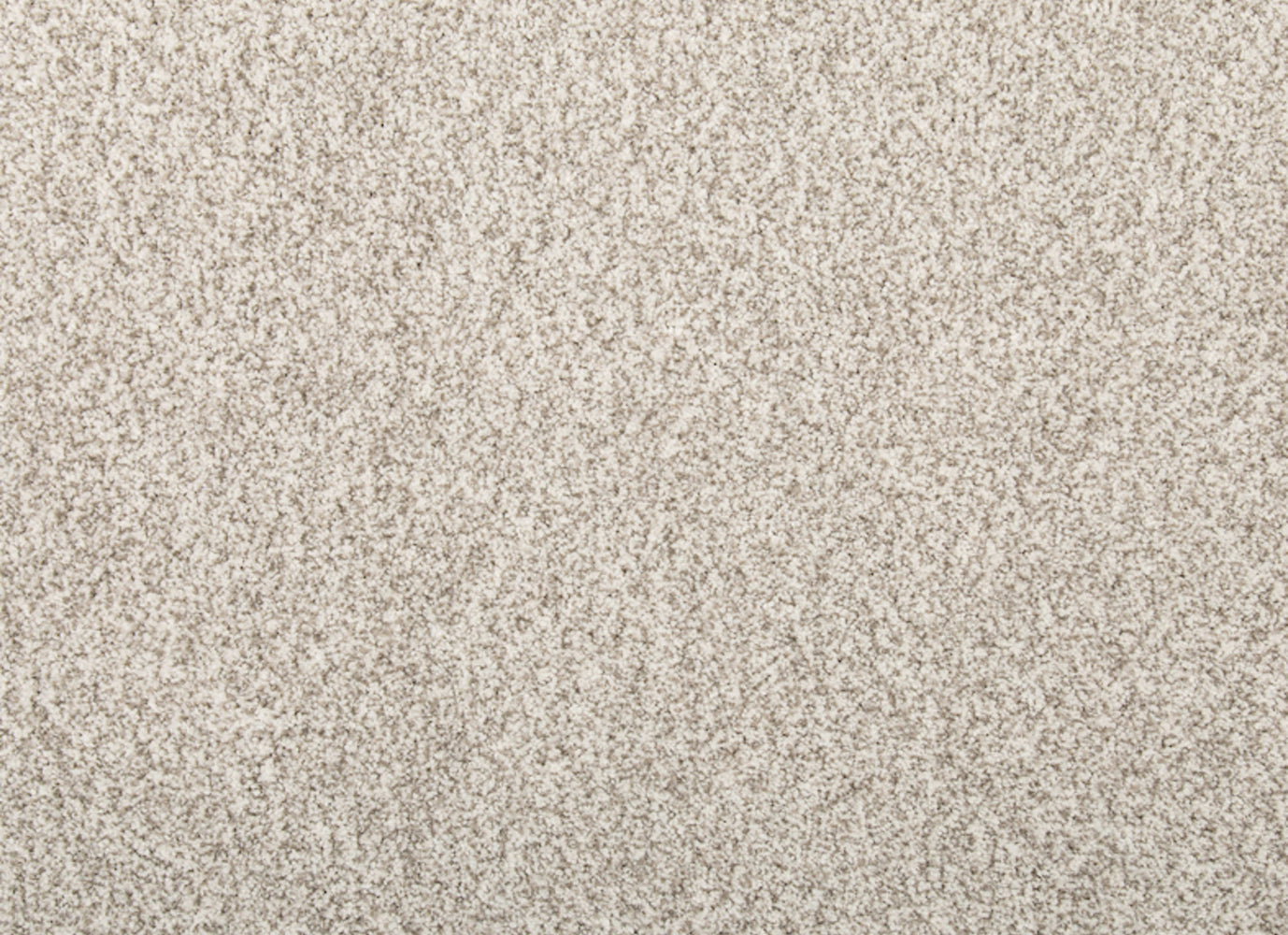 Cordial Mood in Fusion Carpet