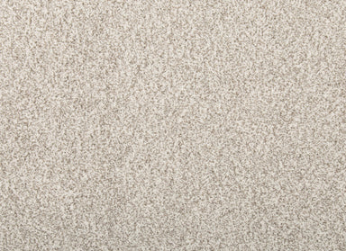 Cordial Mood in Fusion Carpet