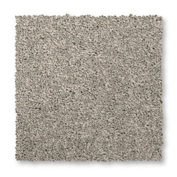 Winter Ash