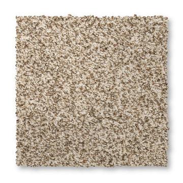 Elk Beige
