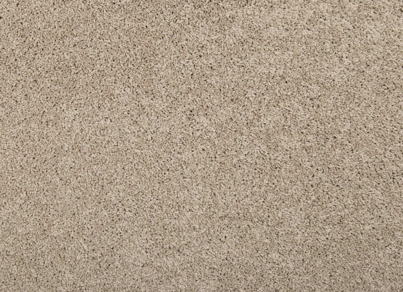 Remodeled I in Birdbath Carpet