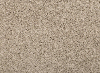 Remodeled I in Birdbath Carpet