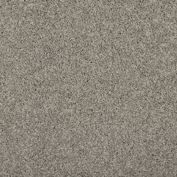 Winter Ash