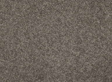 Remodeled II in Pewter Carpet