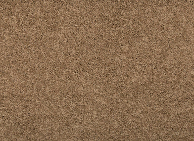 Remodeled III in Fowler Carpet