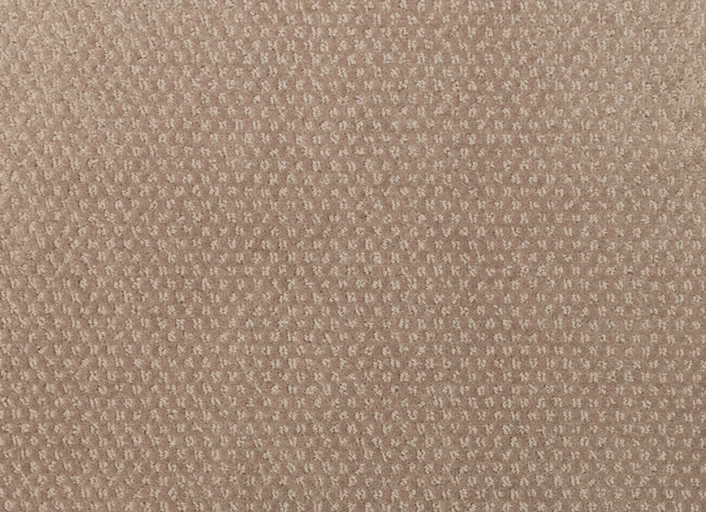 Greenwich Design in Cove Carpet