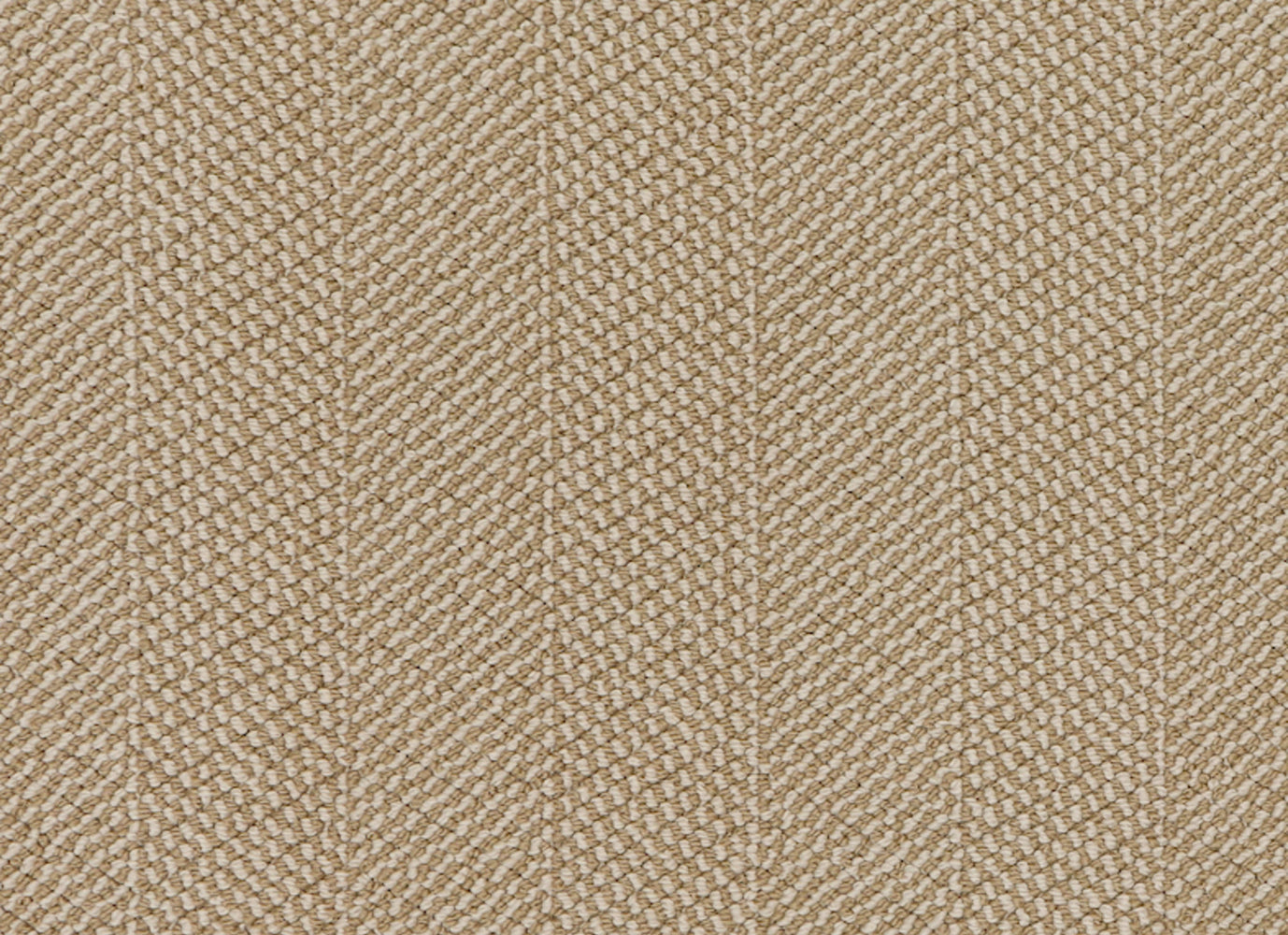 Stitchery in Oscar Carpet