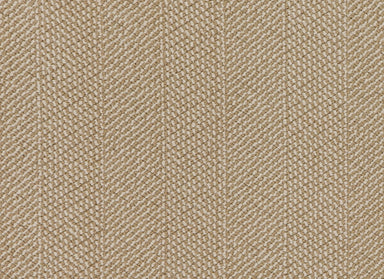 Stitchery in Oscar Carpet