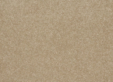 Timeless Saga II in Muted Caramel Carpet