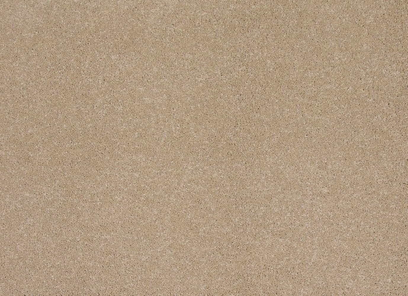 Timeless Saga III in Sandy Shores Carpet