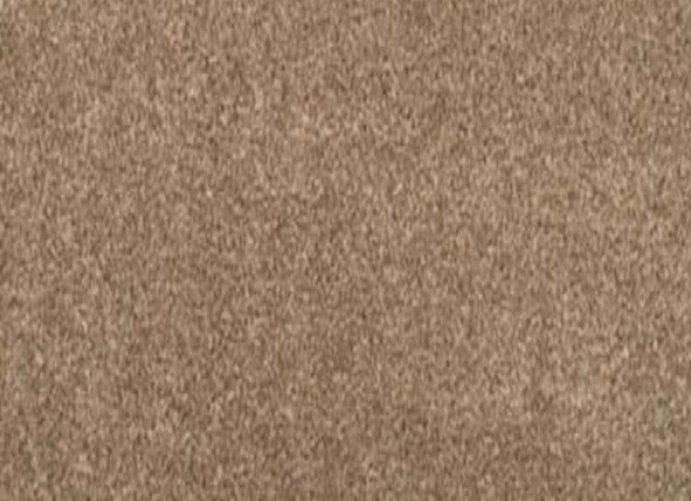 Fond Memoir in Sandy Clay Carpet