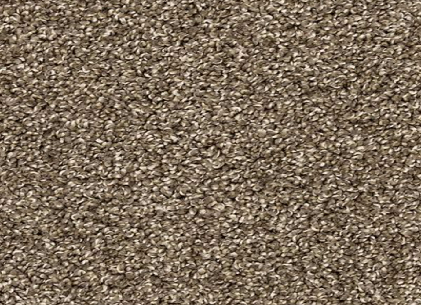 Furocious II in Legend Carpet