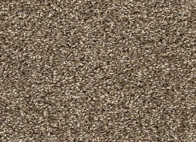 Furocious II in Legend Carpet