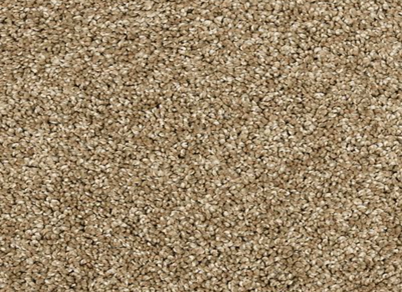 Bon A Pet Treat II in Parchment Carpet
