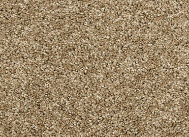 Bon A Pet Treat II in Parchment Carpet