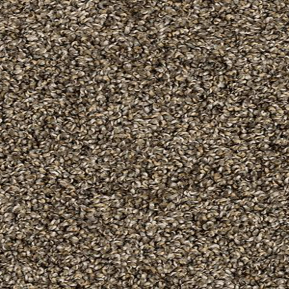 Best Furiends II in Nightshade Carpet
