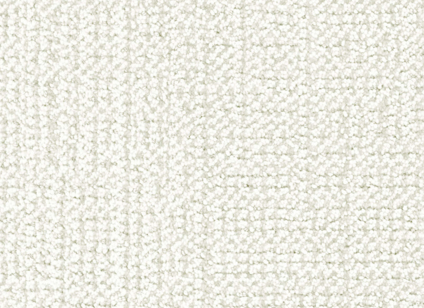 Occasion in Honor Carpet